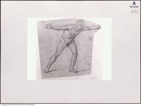 Vorderseite von bh504533_recto