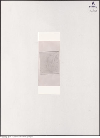 Vorderseite von bh504557_recto