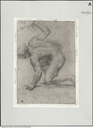 Vorderseite von bh504582_recto