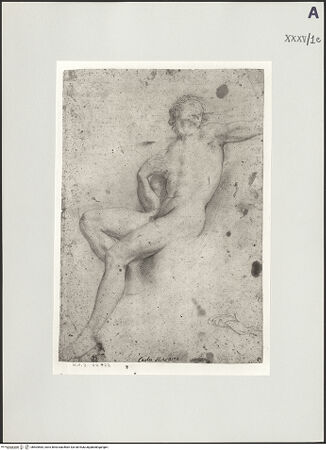 Vorderseite von bh504583_recto