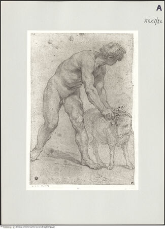 Vorderseite von bh504584_recto