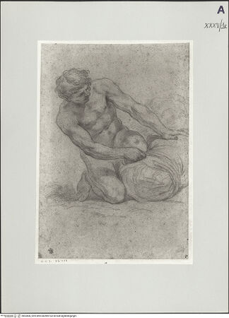 Vorderseite von bh504586_recto