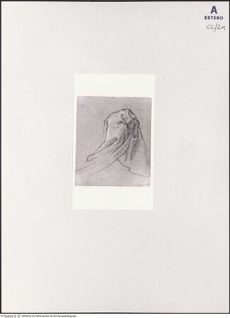 Vorderseite von bh504620_recto