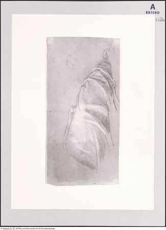 Vorderseite von bh504622_recto