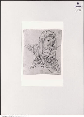 Vorderseite von bh504627_recto