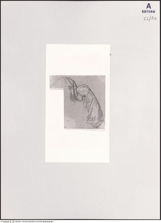 Vorderseite von bh504631_recto