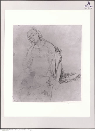 Vorderseite von bh504648_recto