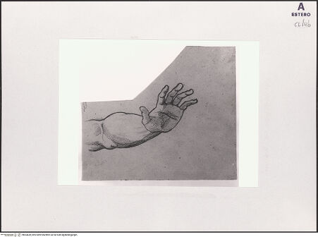 Vorderseite von bh504649_recto