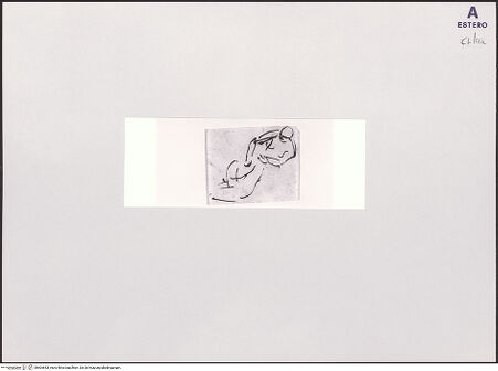 Vorderseite von bh504653_recto