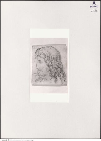 Vorderseite von bh504655_recto