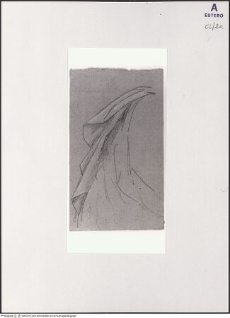 Vorderseite von bh504739_recto