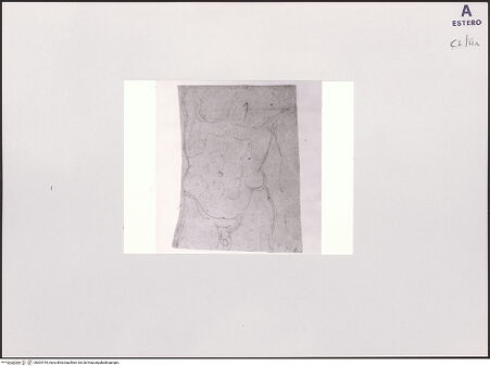 Vorderseite von bh504744_recto