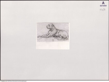 Vorderseite von bh504794_recto