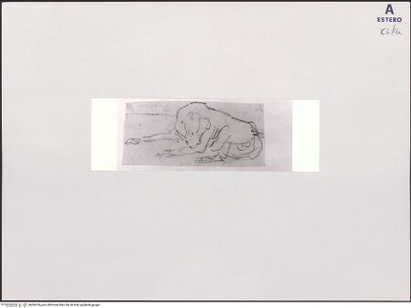 Vorderseite von bh504795_recto