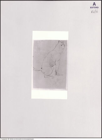 Vorderseite von bh504800_recto