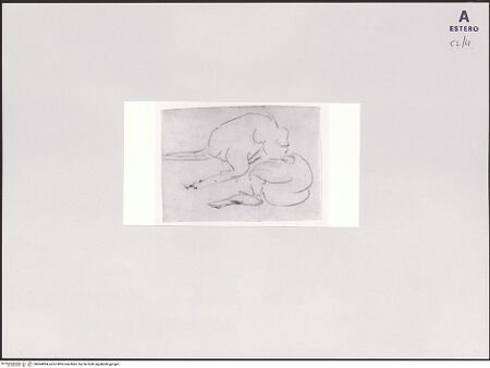 Vorderseite von bh504804_recto