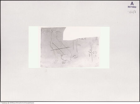 Vorderseite von bh504805_recto