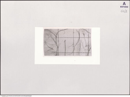 Vorderseite von bh504816_recto