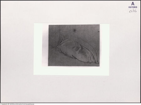 Vorderseite von bh504838_recto