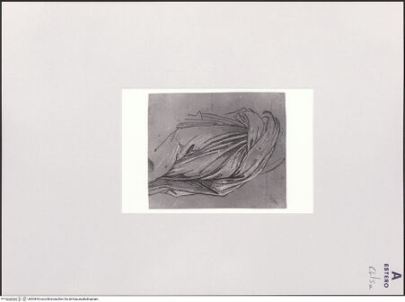 Vorderseite von bh504843_recto