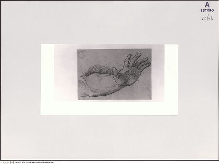 Vorderseite von bh504849_recto