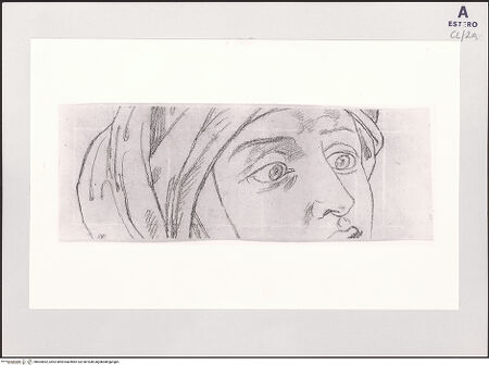 Vorderseite von bh504852_recto