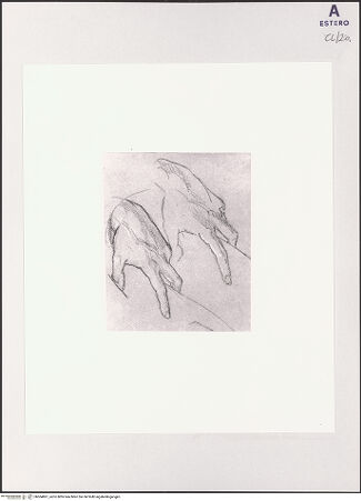 Vorderseite von bh504861_recto