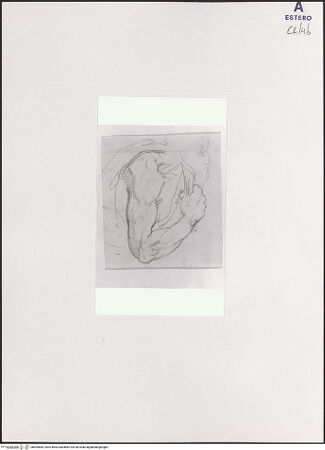 Vorderseite von bh504884_recto