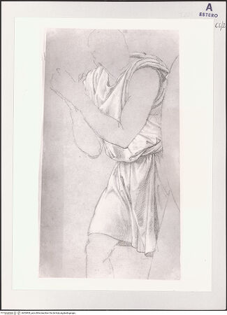 Vorderseite von bh504900_recto