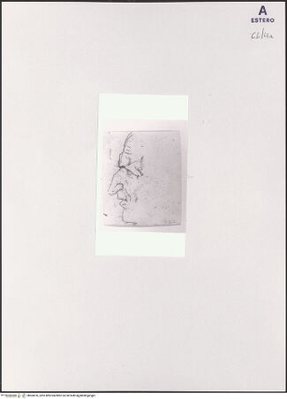 Vorderseite von bh504918_recto