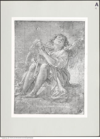 Vorderseite von bh505204_recto