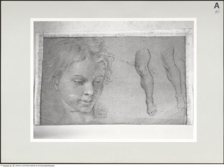 Vorderseite von bh505212_recto