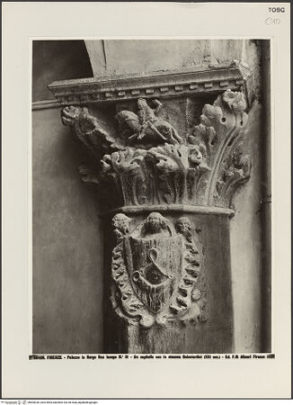 Vorderseite von bh505330_recto