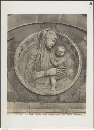 Vorderseite von bh505381_recto