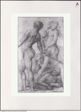 Vorderseite von bh505442_recto