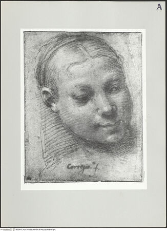 Vorderseite von bh505447_recto