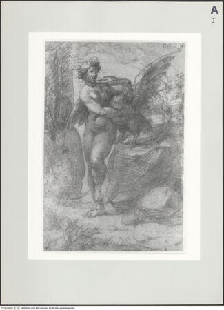 Vorderseite von bh505454_recto