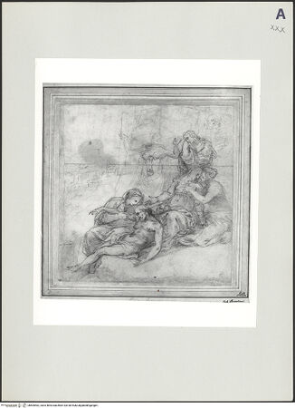 Vorderseite von bh505462_recto