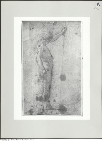 Vorderseite von bh505474_recto