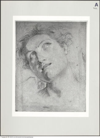 Vorderseite von bh505476_recto