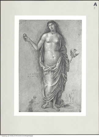 Vorderseite von bh505484_recto