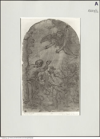 Vorderseite von bh505524_recto