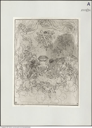 Vorderseite von bh505527_recto