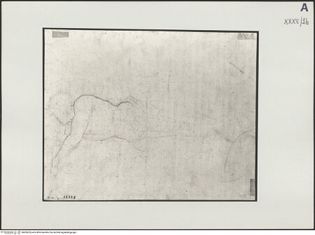 Vorderseite von bh505533_recto