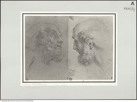 Vorderseite von bh505534_recto