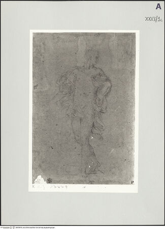 Vorderseite von bh505545_recto