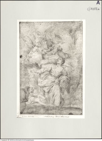 Vorderseite von bh505548_recto