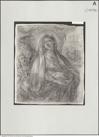 Vorderseite von bh505549_recto