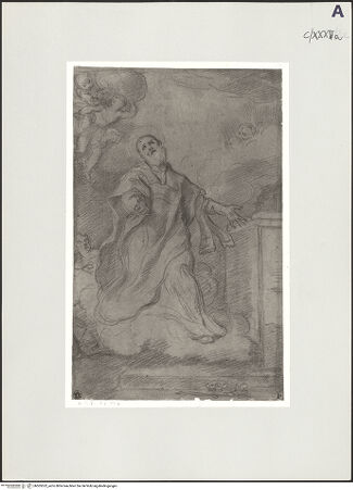 Vorderseite von bh505552_recto