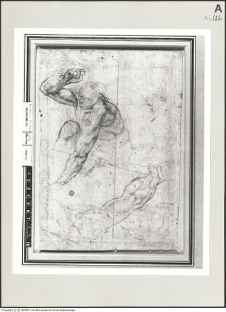 Vorderseite von bh505581_recto